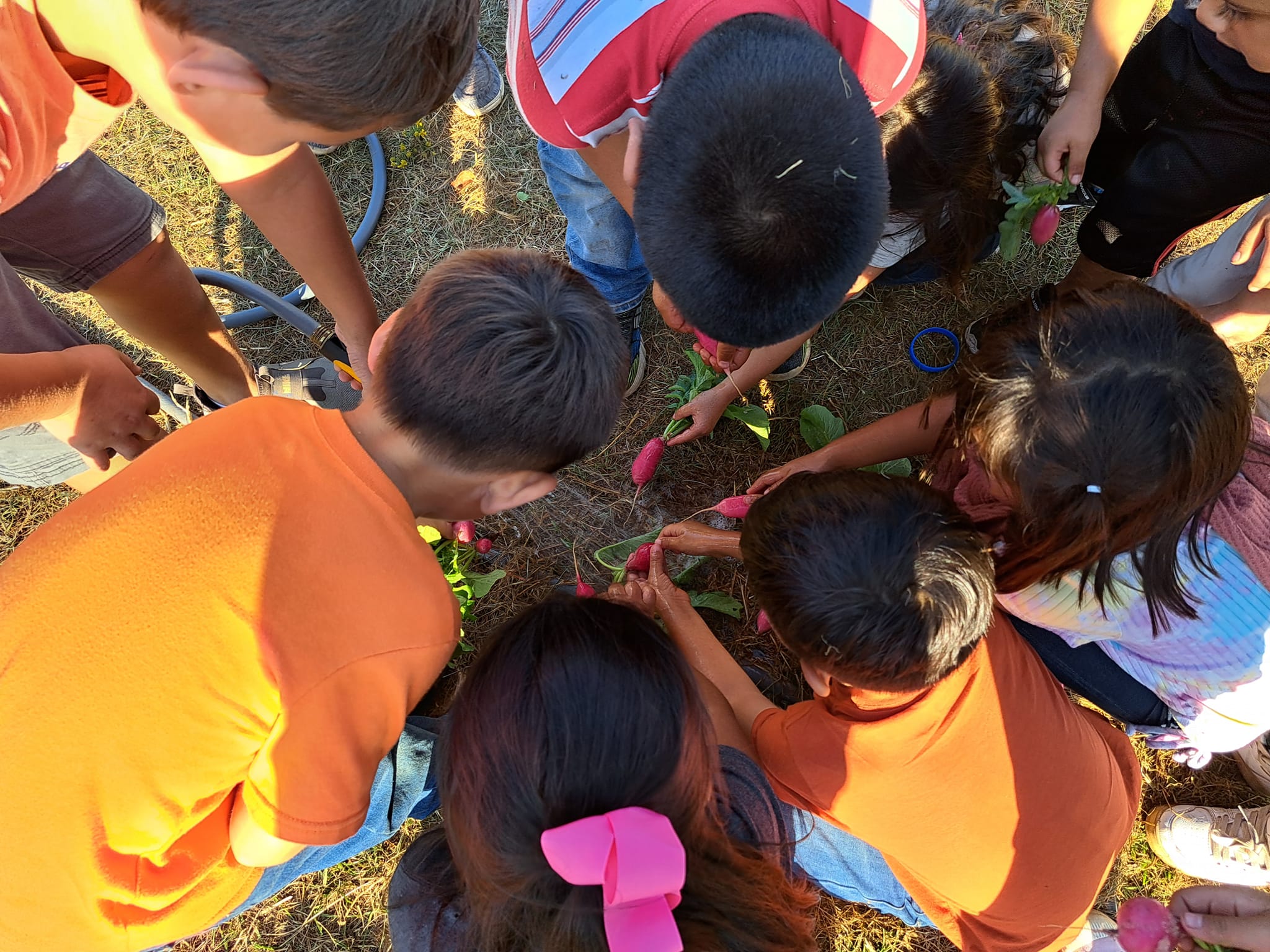 Healthy School Recognized Campus (HSRC) DRCT Study